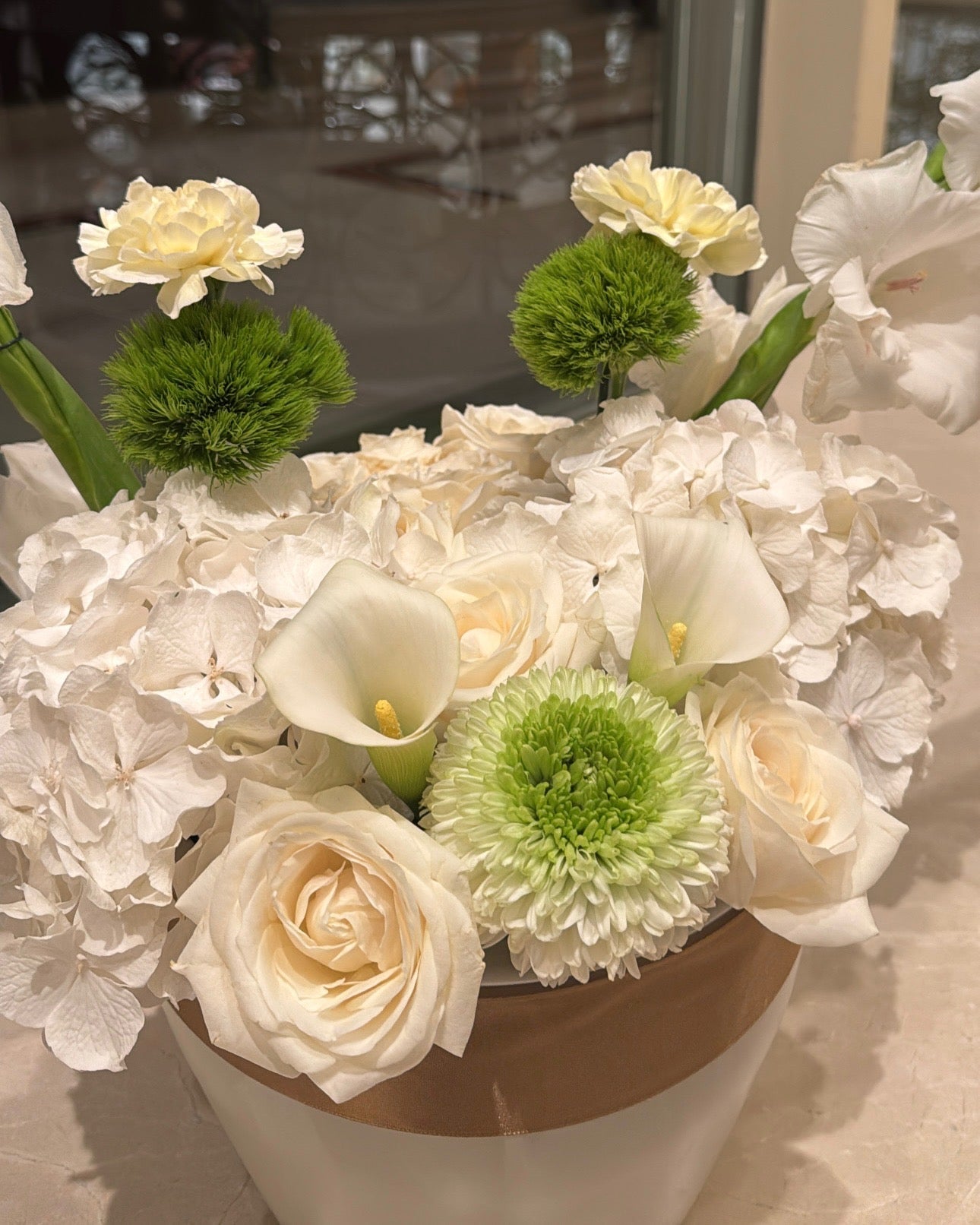 ZONOHOME WHITE