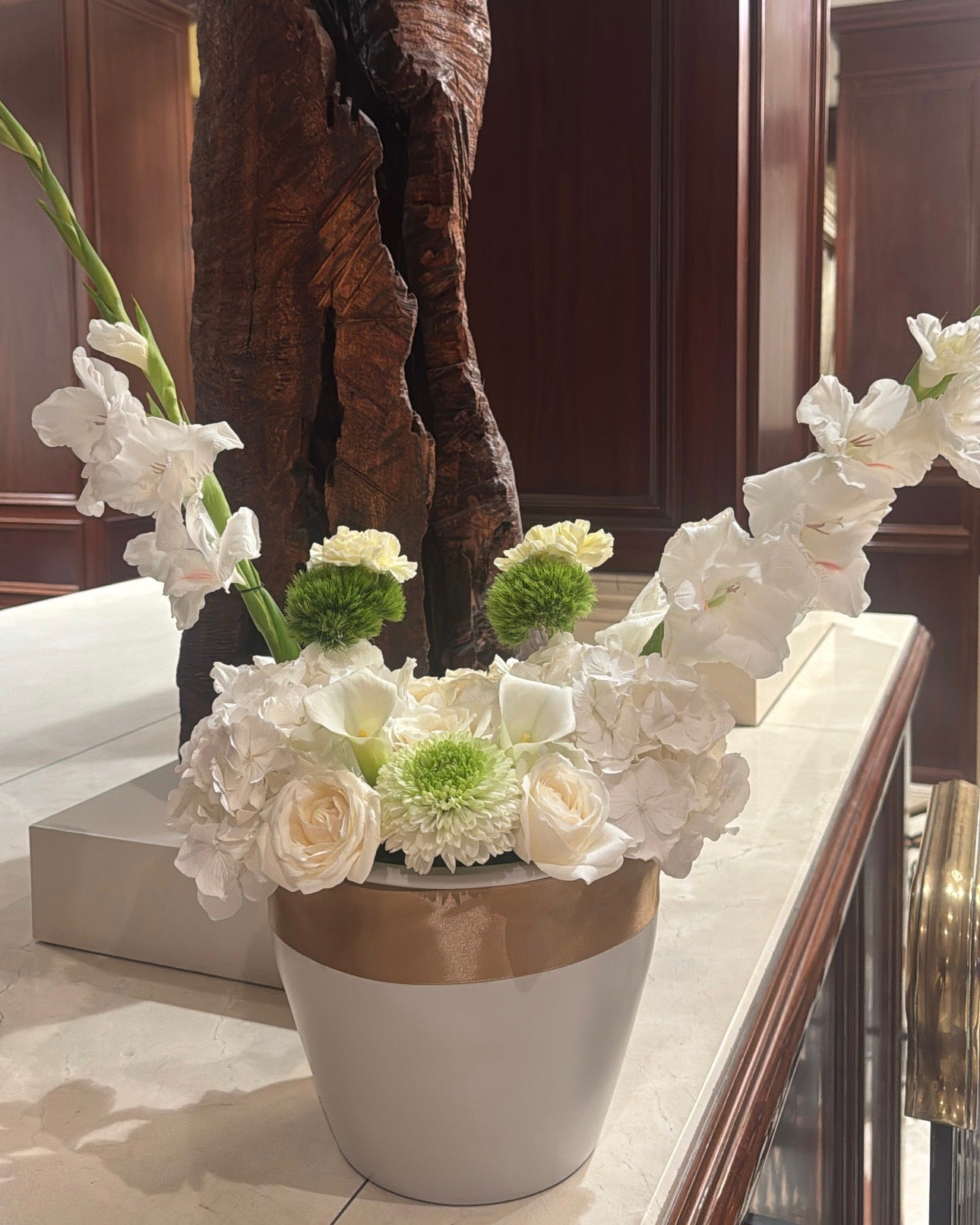 ZONOHOME WHITE