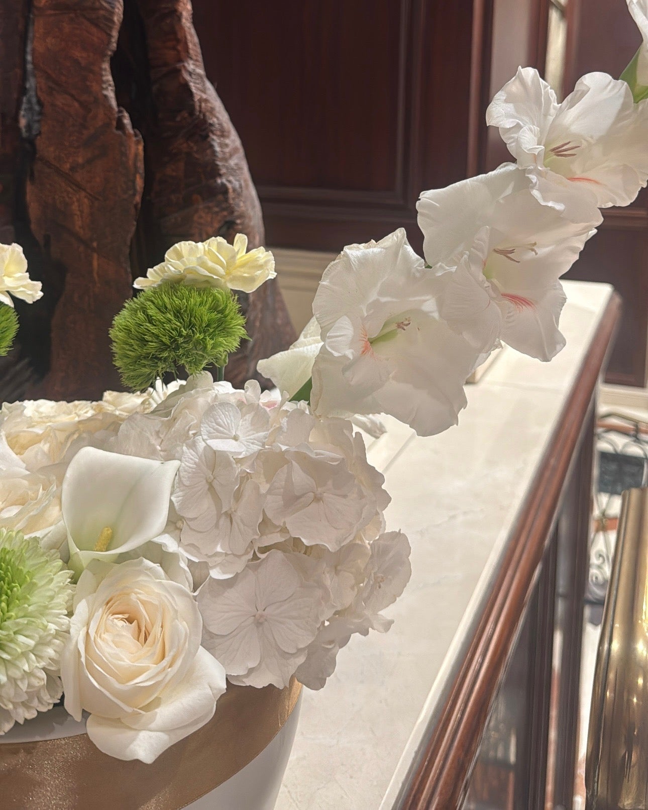 ZONOHOME WHITE