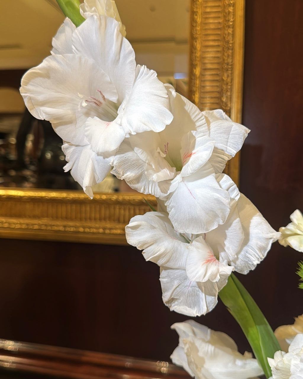 ZONOHOME WHITE